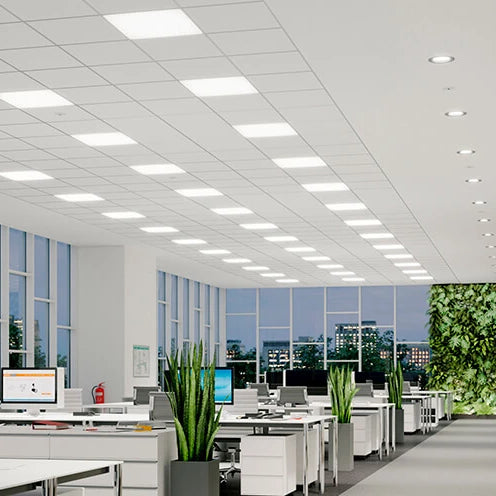 What Is The Best Lighting For An Office