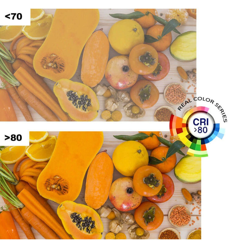 100W ACTION PRO LED Floodlight - LED Floodlight