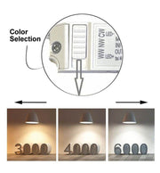 5W 8W 12W Surface Mounted Adjustable FENIX LED Spotlight 3 CCT - LED Spotlight