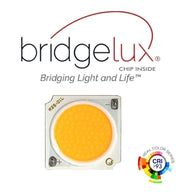 5W 8W 12W Surface Mounted Adjustable FENIX LED Spotlight 3 CCT - LED Spotlight