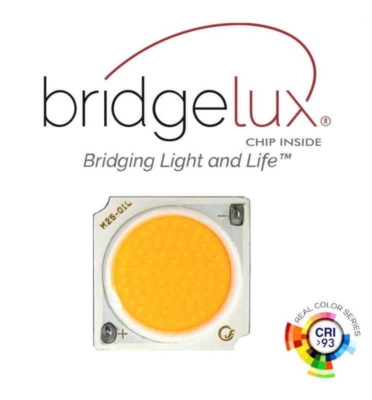 5W 8W 12W Surface Mounted Adjustable FENIX LED Spotlight 3 CCT - LED Spotlight