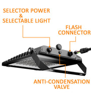 200W LED Floodlight MAXLITE with SOSEN Driver 3CCT IP65 160Lm/W - Flood & Spot Lights - Floodlights