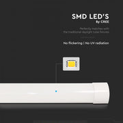 20W Prismatic LED Batten 566mm 4000K 6 Years warranty - Lighting Fixtures - Battens