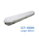 20W LED Tri-Proof Batten 600mm with PHILIPS driver and CCT 4000K - LED