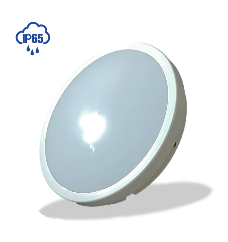 24W LED Bulkhead 6000K - Bulkhead