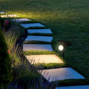 2W LED Solar spike light 4000K - Solar LED light