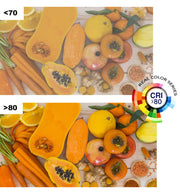 300W ACTION PRO LED Floodlight 5700K - LED Floodlight