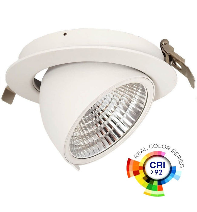 30W Adjustable HAMBURG LED Spotlight with PHILIPS Driver 3 CCT