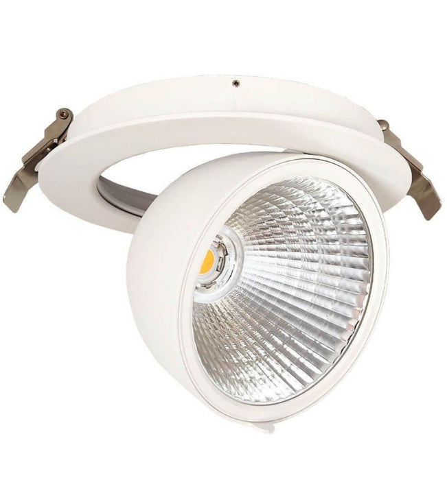 30W Adjustable HAMBURG LED Spotlight with PHILIPS Driver 3 CCT