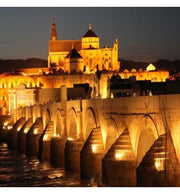 30W ACTION PRO LED Floodlight - LED Floodlight