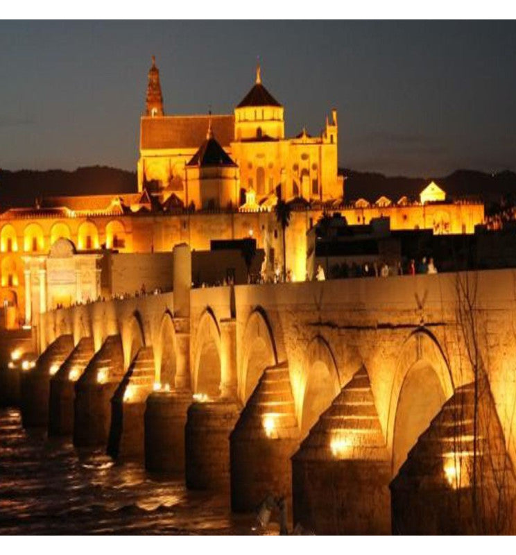 30W ACTION PRO LED Floodlight - LED Floodlight