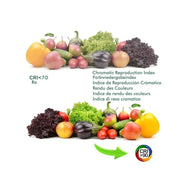 30W Single-Phase LED Track Light PARMA in White 4000K - LED Tracking Light