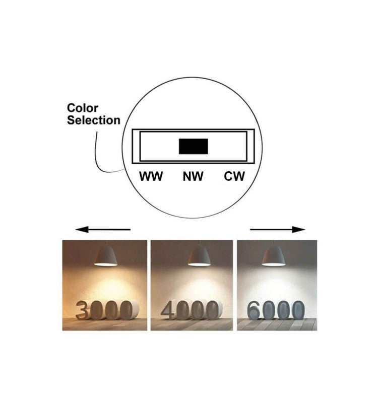 30W Single Phase PARMA LED Spotlight White 3 CCT - Track Lighting - Track Lighting