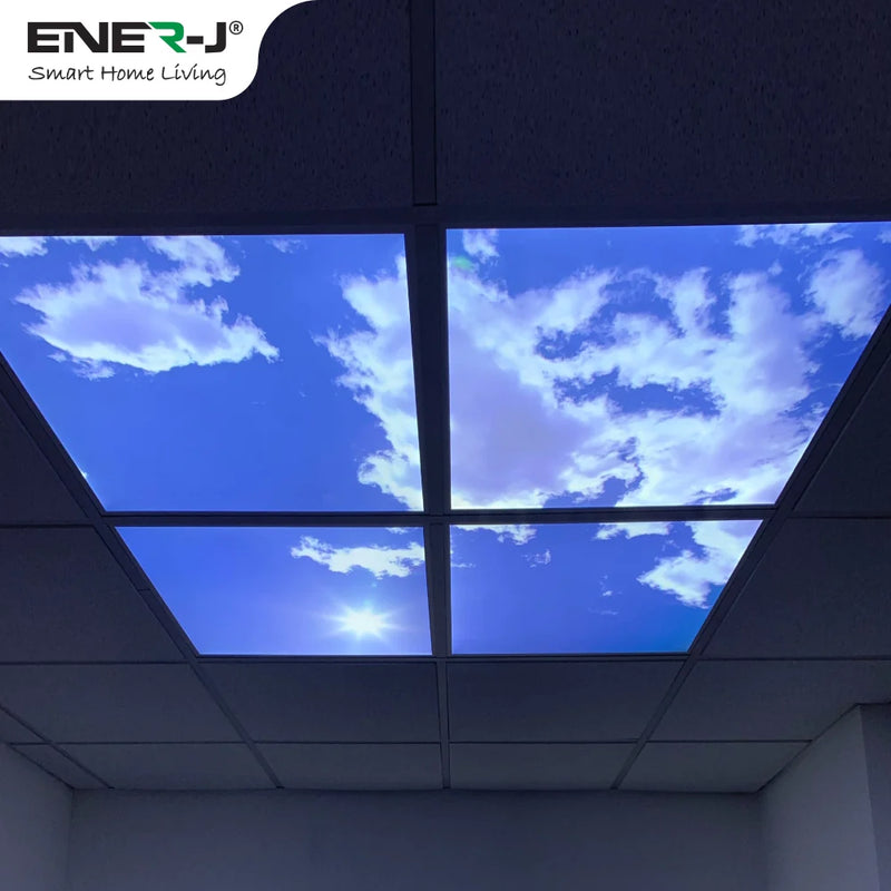 40W Set of 4 SKY LED Ceiling Panel 60x60cms with 2D PRINT 6000K - LED Panel