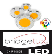 40W Adjustable Recessed LED Spotlight with Philips Driver CCT CRI92 - Flood & Spot Lights - Downlights