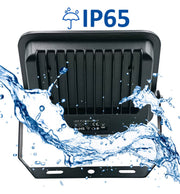 50W LED Floodlight AURORA 140Lm/W with PIR Motion Sensor - Flood & Spot Lights - Floodlights