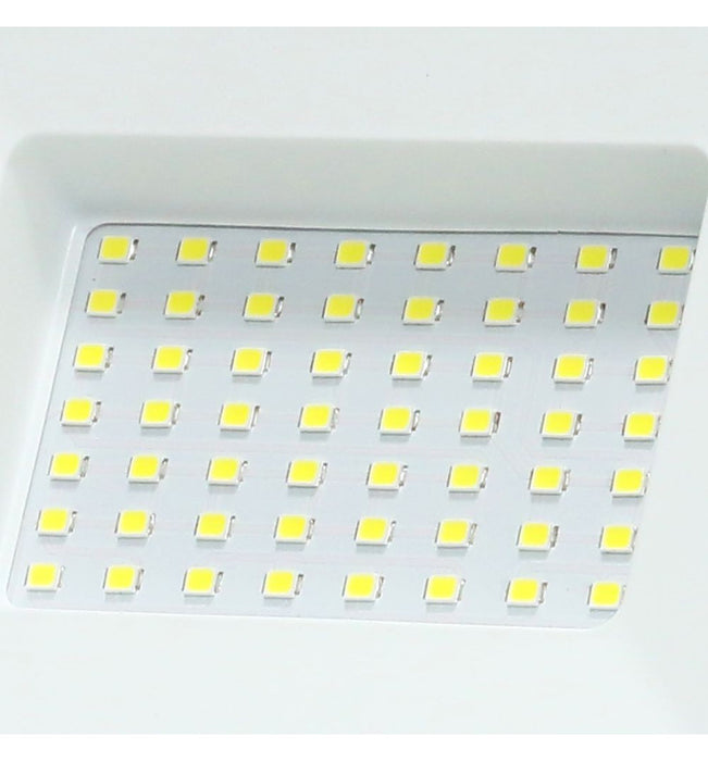 50W New ACTION LED Floodlight 6000K