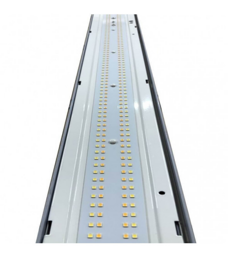 55W Tri-Proof LED Batten 1500mm with PHILIPS driver and 3 CCT - STANDARD 15-20 Delivery - LED Batten