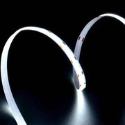 5m 12V 12W/M COB LED Strip Light 6000K - Light Ropes & Strings - Strip Lights