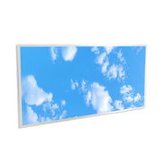 60W Fake Sky LED Backlit Panel with 2D Picture 1195x595mm - LED Panel