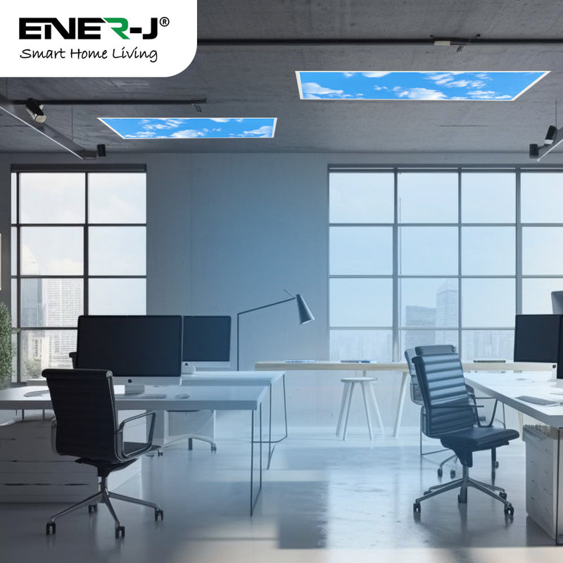 60W Fake Sky LED Backlit Panel with 2D Picture 1195x595mm - LED Panel