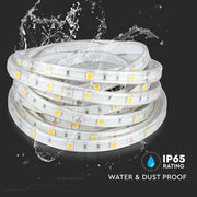 8W LED Strip Light 5m 6500K IP65 - LED Strip