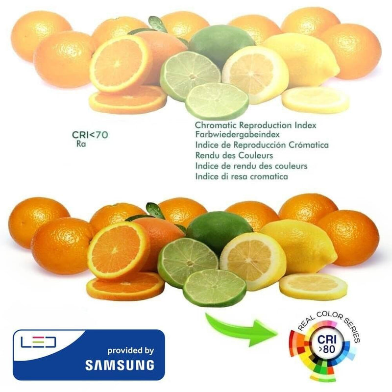 6W Dimmable GU10 Glass LED Bulb with SAMSUNG Chip 3000K - GU10 Bulb