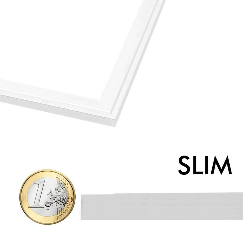 80W LED Panel 120x60cm with PHILIPS Driver 6000K - LED Panel