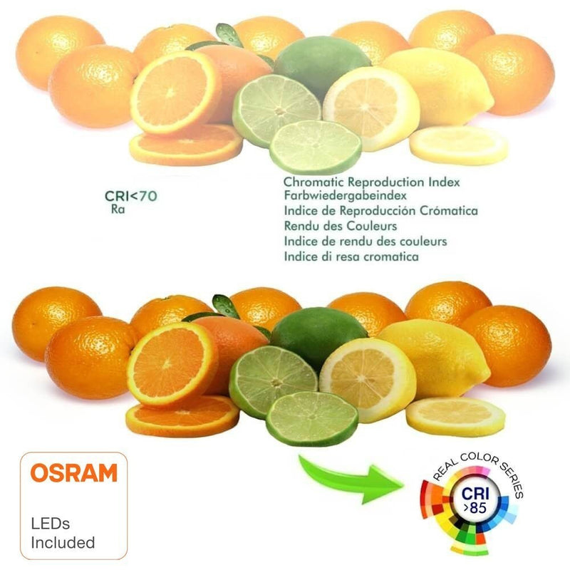8W Frameless QUASAR LED Downlight with OSRAM Chip 3 CCT - Ceiling Light Fixtures - Downlights