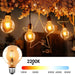 8W LED Filament Bulb Vintage E27 G125 - Dimmable - E27 Retro