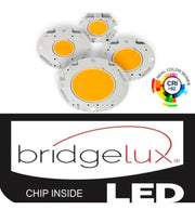 25W Adjustable Recessed LED Spotlight with Philips Driver CCT - STANDARD 20-30 working days - LED Spotlight