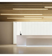 Dimmable Linear MOSCOW LED Light Black 0.44m 0.94m 1.44m 1.94m - Ceiling Light Fixtures - Linear Lights