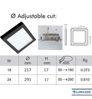 24W Square MOSS LED Ceiling Light in Black 3 CCT with Adjustable Cut-Out - LED ceiling lighting