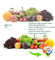 40W to 34W Single Phase NEW MAYA LED Spotlight White 3 CCT - LED Tracking Light