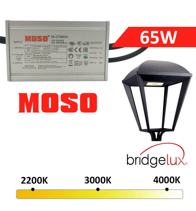 65W VILLA ELITE LED Streetlight with MOSO/PHILIPS/GXTronic Driver