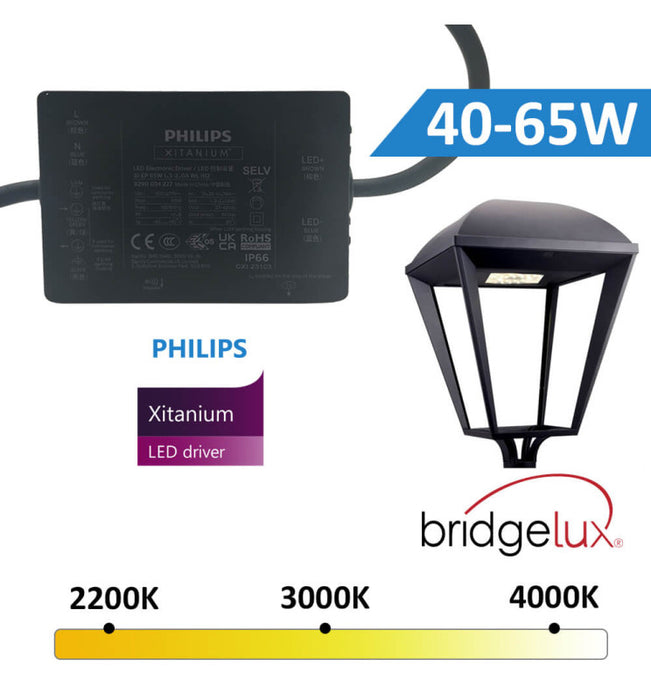 65W VILLA ELITE LED Streetlight with MOSO/PHILIPS/GXTronic Driver