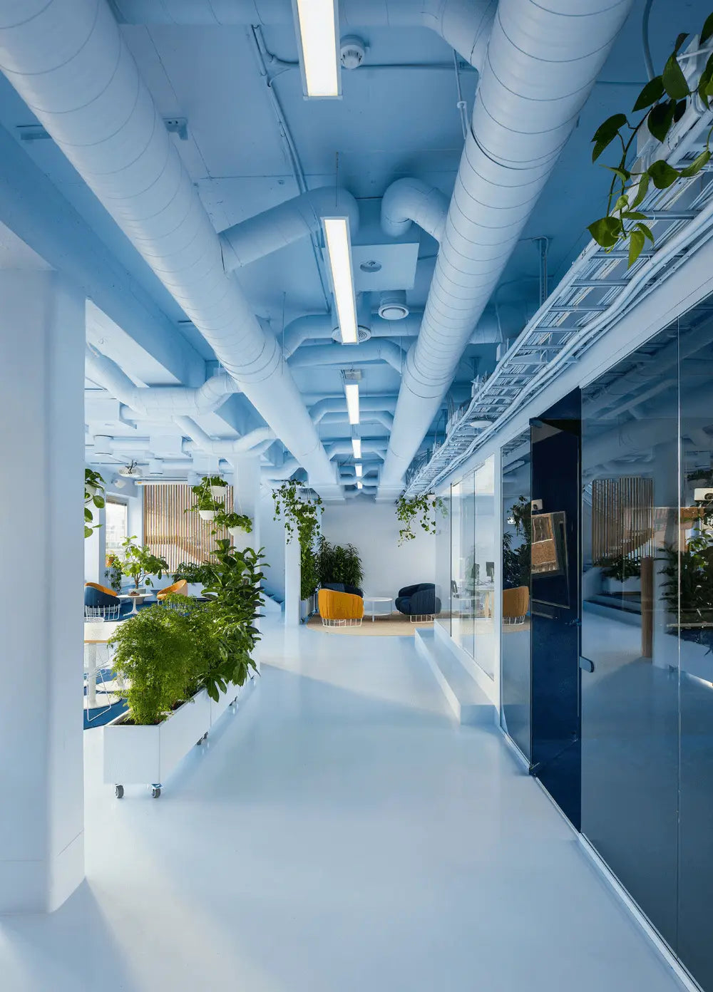 led battens in the office room