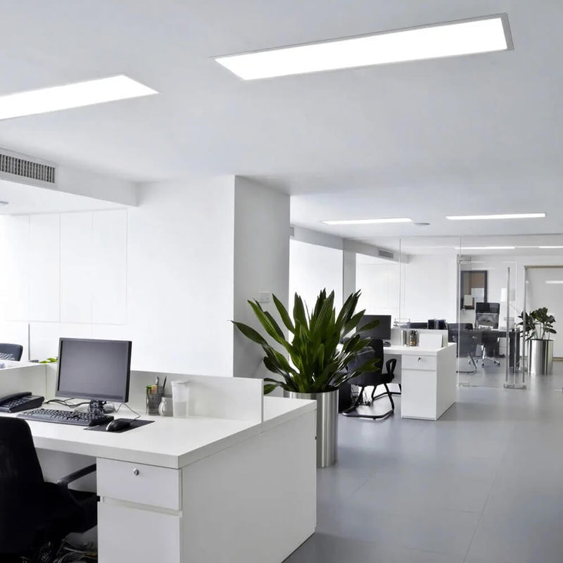 44W LED Panel 120x30cm with PHILIPS Power Supply 4000K 2 Pack - LED Panel