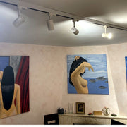 3 Phase Track Spotlight for GU10 LED Bulb White - LED Spotlight